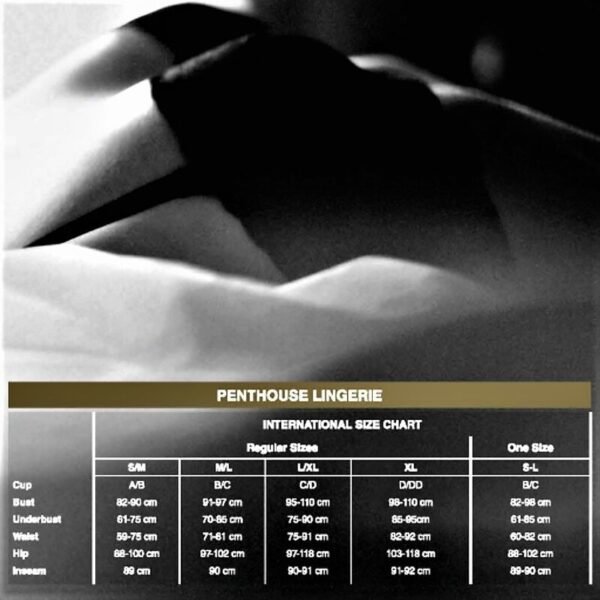 PENTHOUSE APROVEITE O MOMENTO TEDDY XL - Image 2