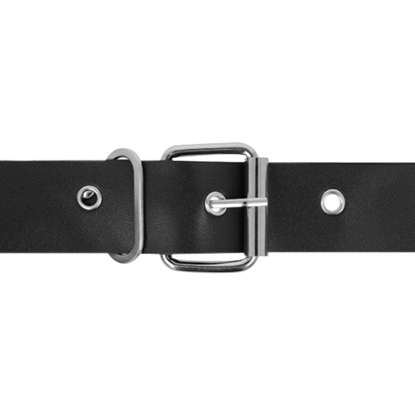 HARNESS ATTRACTION - RNES TAYLOR DELUXE 18 X 4,5CM - Image 4