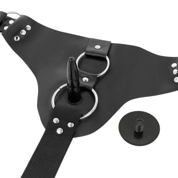 HARNESS ATTRACTION - RNES TAYLOR DELUXE 18 X 4,5CM - Image 5