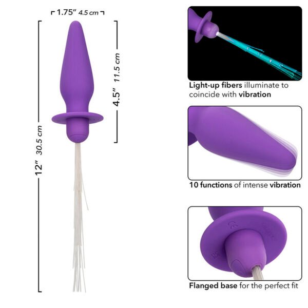 CALEXOTICS - SOUTHERN LIGHTS LIGHT UP ANAL PLUG 10 VIBRAÇÕES SILICONE ROXO - Image 6