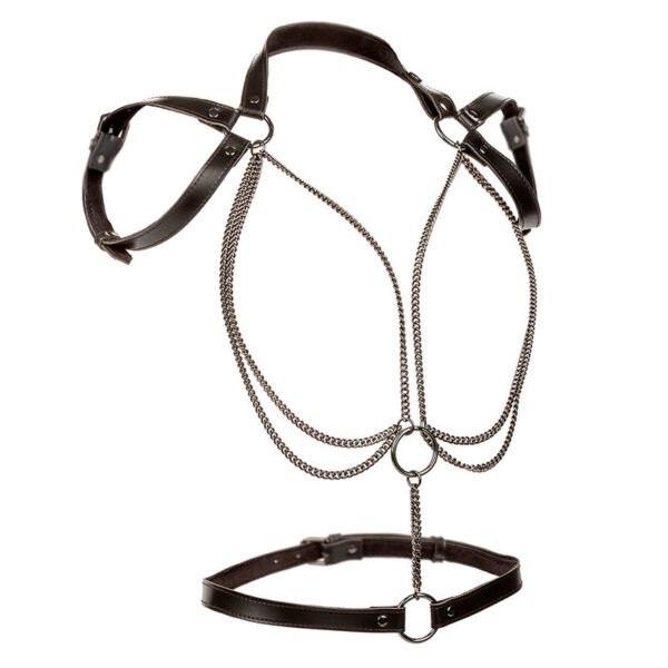 CALEXOTICS - EUPHORIA MULTICAIN HALTER HARNESS PREMIUM TAMANHO PLUS - Image 2