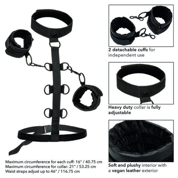 CALEXOTICS - BOUNDLESS RETENO CORPORAL DE COLAR - Image 6