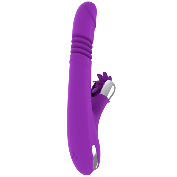 FUN FUNCTION - COELHO ENGRAÇADO PARA CIMA E PARA BAIXO 2.0 - Image 7