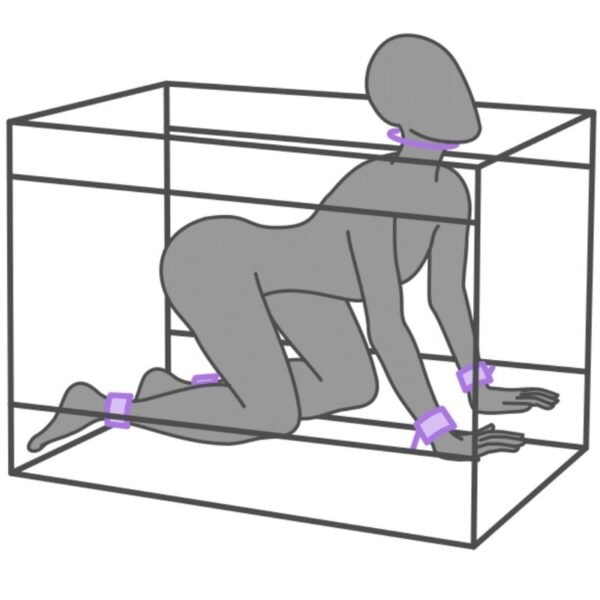 SECRET DOME - KINK CLUB LA NICHE CABINE ROXA - Image 4