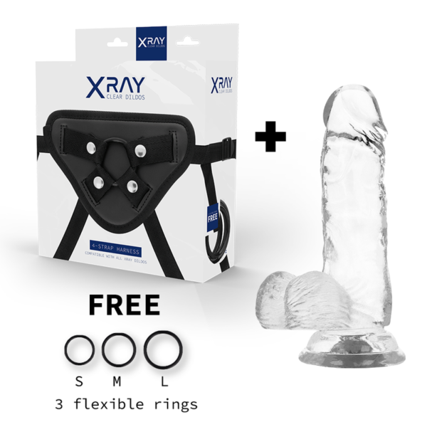 X RAY - ARNÊS SEGURANA + DILDO TRANSPARENTE COM BOLAS 15.5 CM -O- 3.5 CM - Image 2