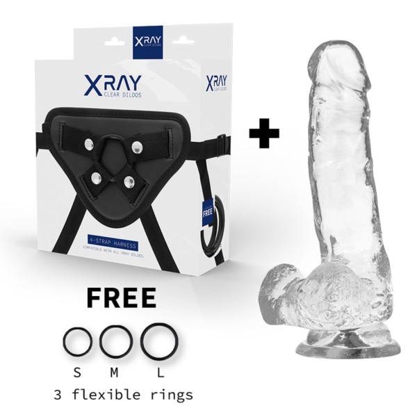 X RAY - ARNÊS + DILDO TRANSPARENTE COM BOLAS 18.5 CM -O- 3.8 CM - Image 2