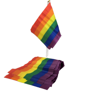 PRIDE - BANDEIRA LGBT BANDEIRA PEQUENA