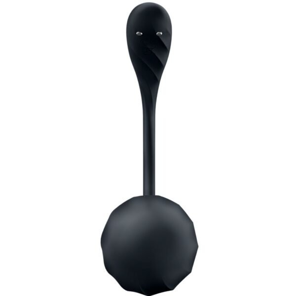 SATISFYER - RIBBED PETAL ESTIMULADOR DE PONTO G CONTROLE REMOTO PRETO APLICATIVO GRATUITO - Image 5