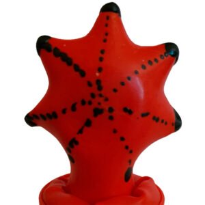CONDOMERIE - PRESERVATIVOS NOVIDADES PINTADOS À MÃO ESTRELA DO MAR