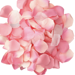 DIABO PICANTE - 100 PÉTALAS ROSA